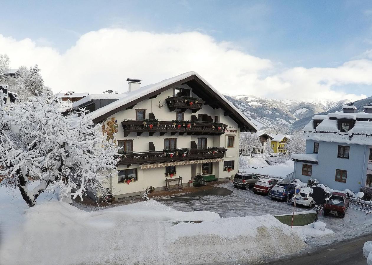 Alpenrose