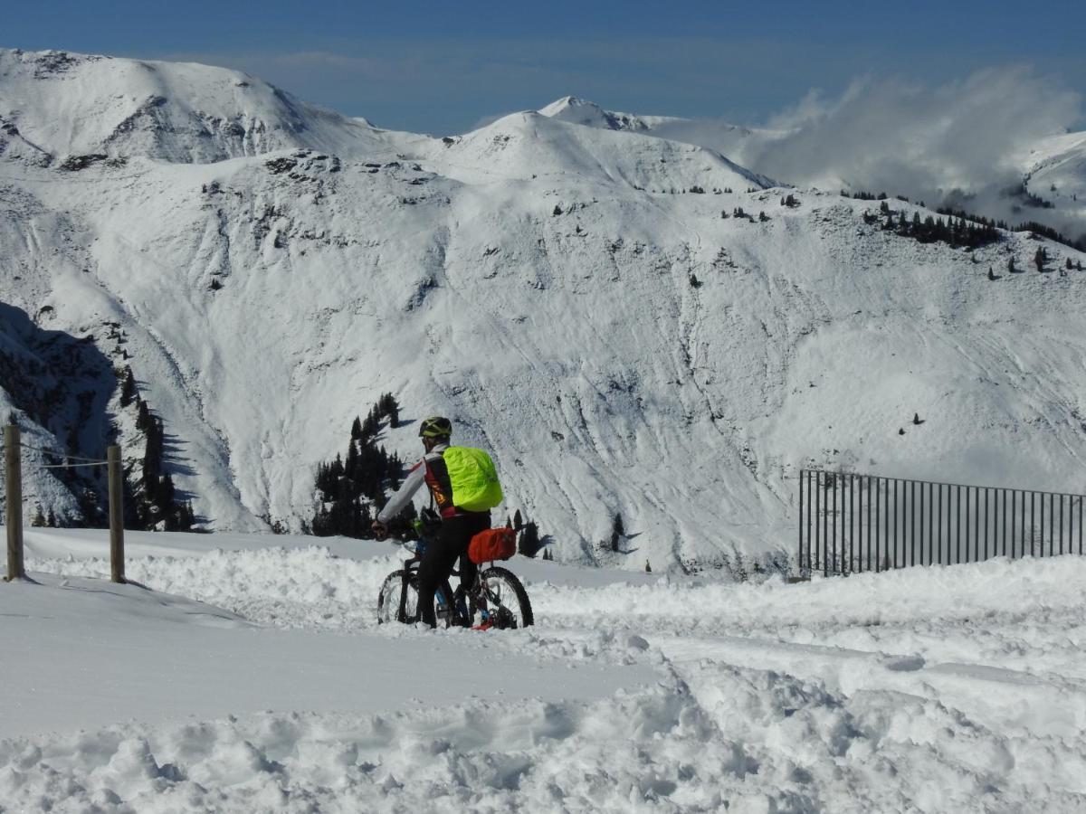 Alpenrose 3* Zell am See