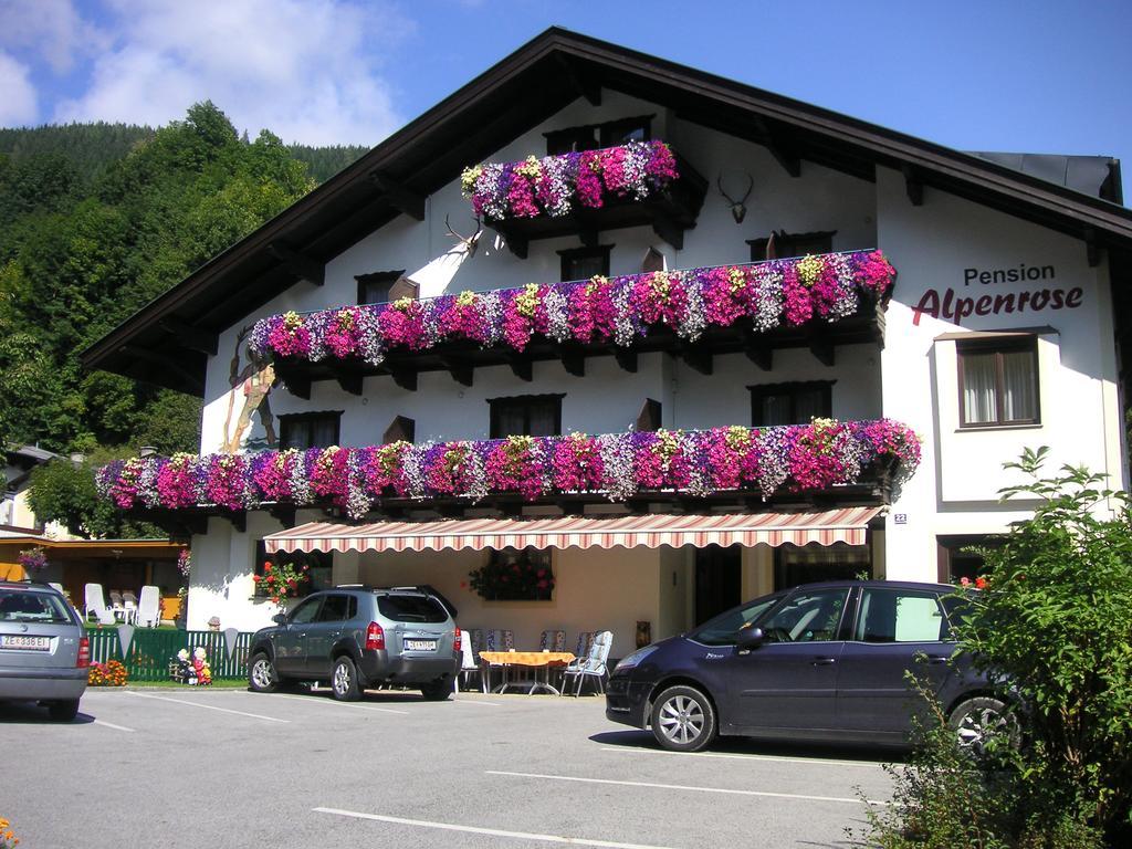 Guest house Alpenrose 3*
